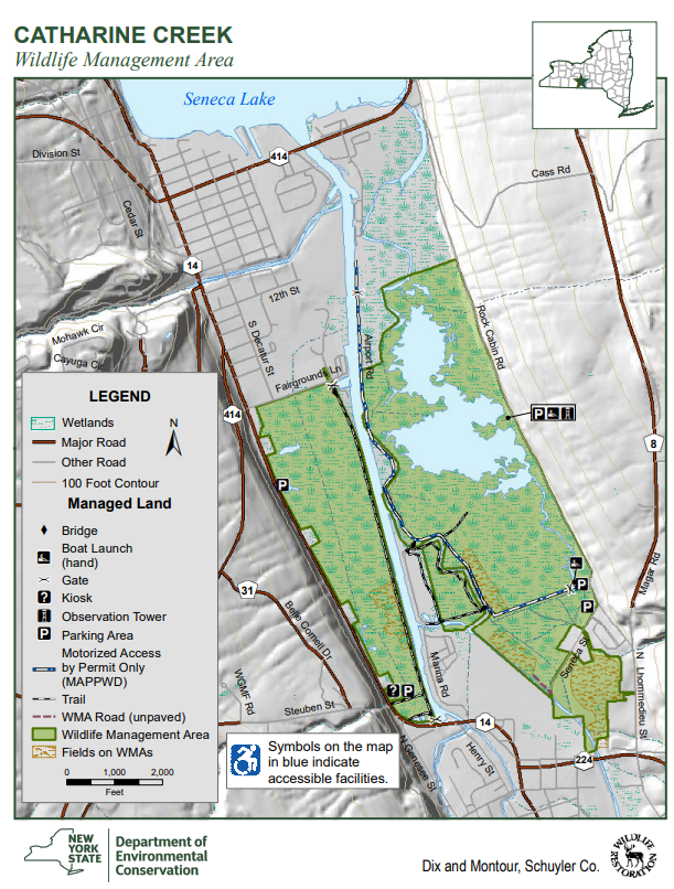 Screenshot 2025-07-15 090040