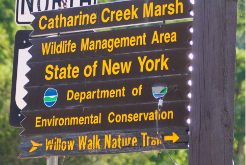 Screenshot 2025-07-15 090130