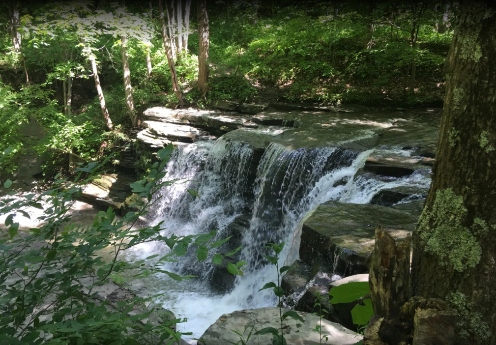 Screenshot 2025-07-15 091449