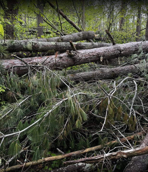 Screenshot 2025-07-15 093255