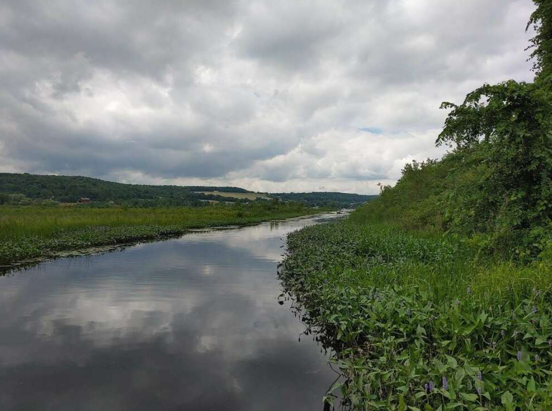 Screenshot 2025-07-15 093601