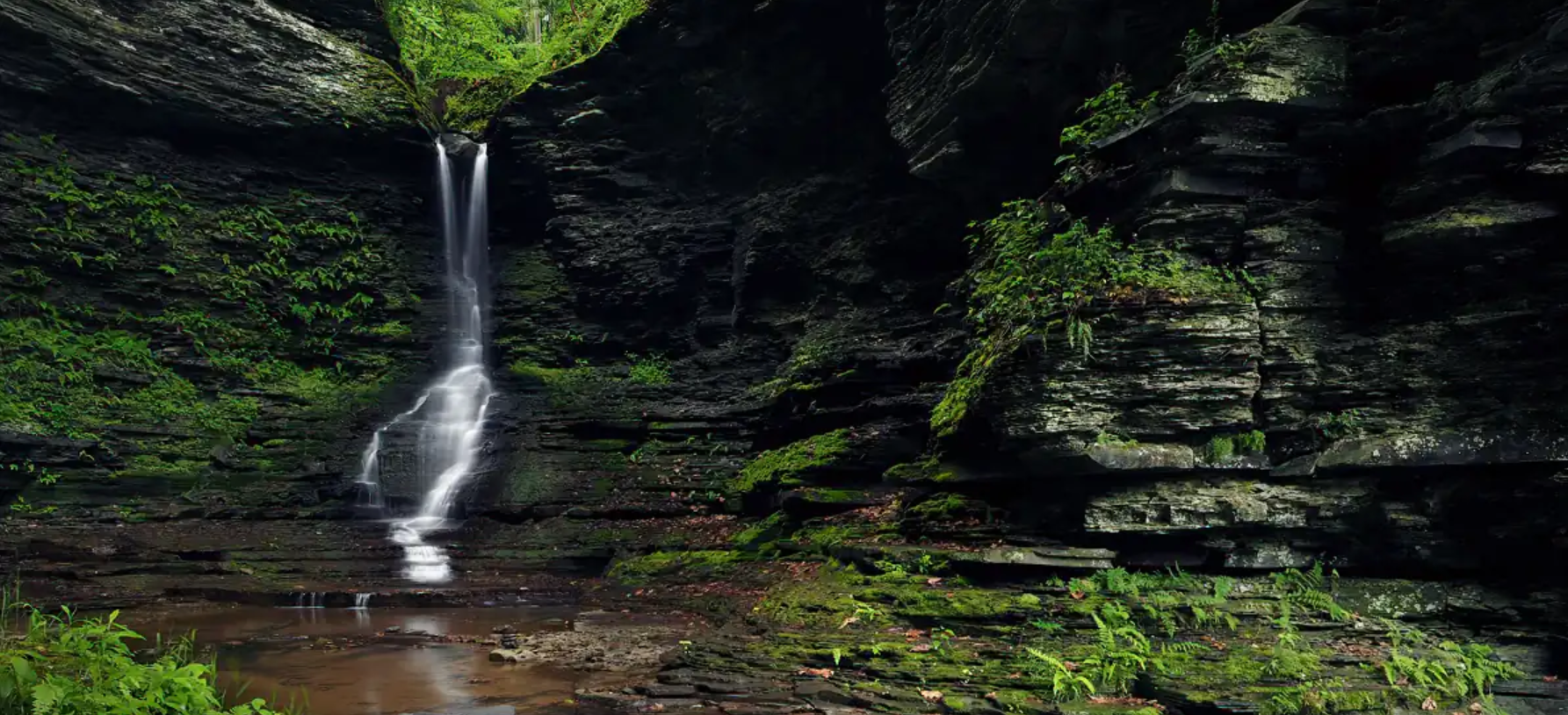 Screenshot 2025-07-15 093825