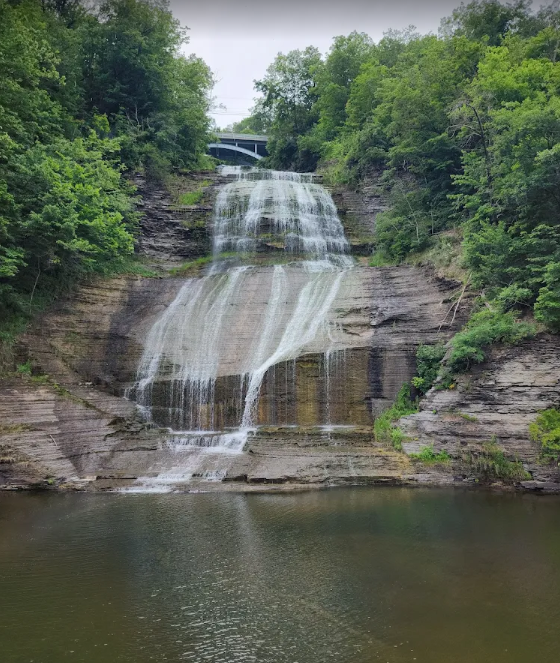 Screenshot 2025-07-15 094635