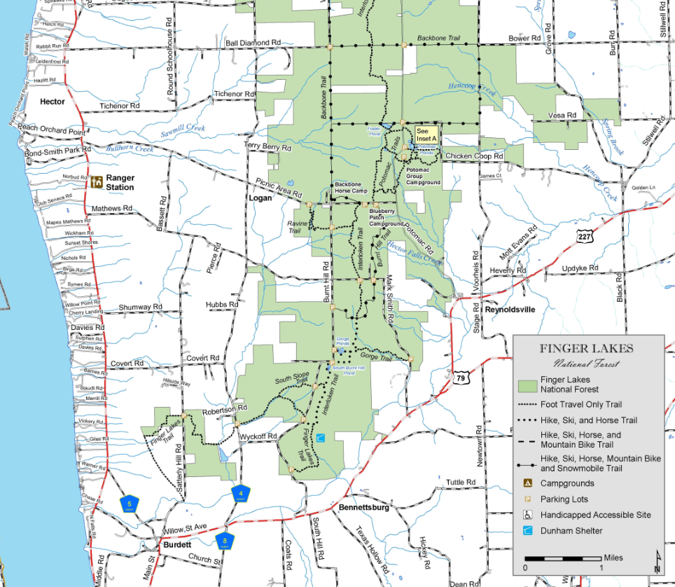 Screenshot 2025-07-15 100437