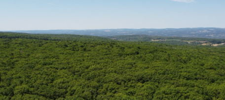 Screenshot 2025-07-15 100151