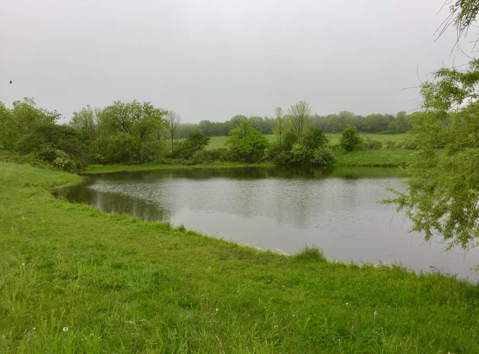 Screenshot 2025-07-15 105059