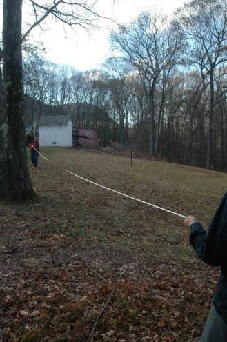 Measuring Tree Crown