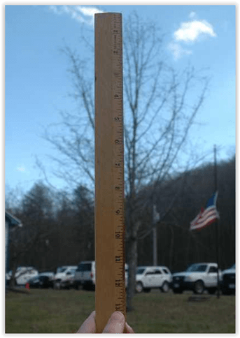 Ruler Showing Tree Height