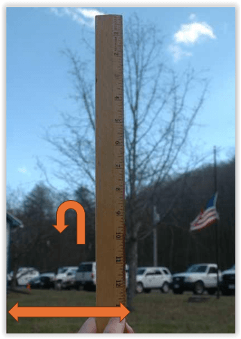Ruler Showing Tree Height with Arrow Markers